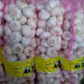 /msite/products/detail/productid/57631198/id/677584.html